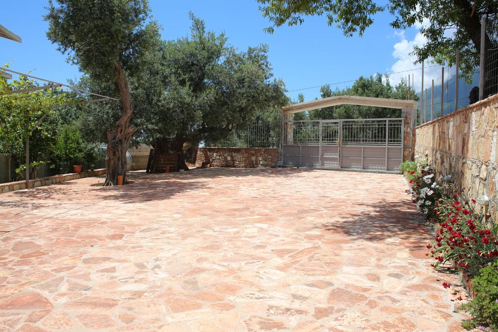La Maroja View Hotel Dhermi Exterior photo